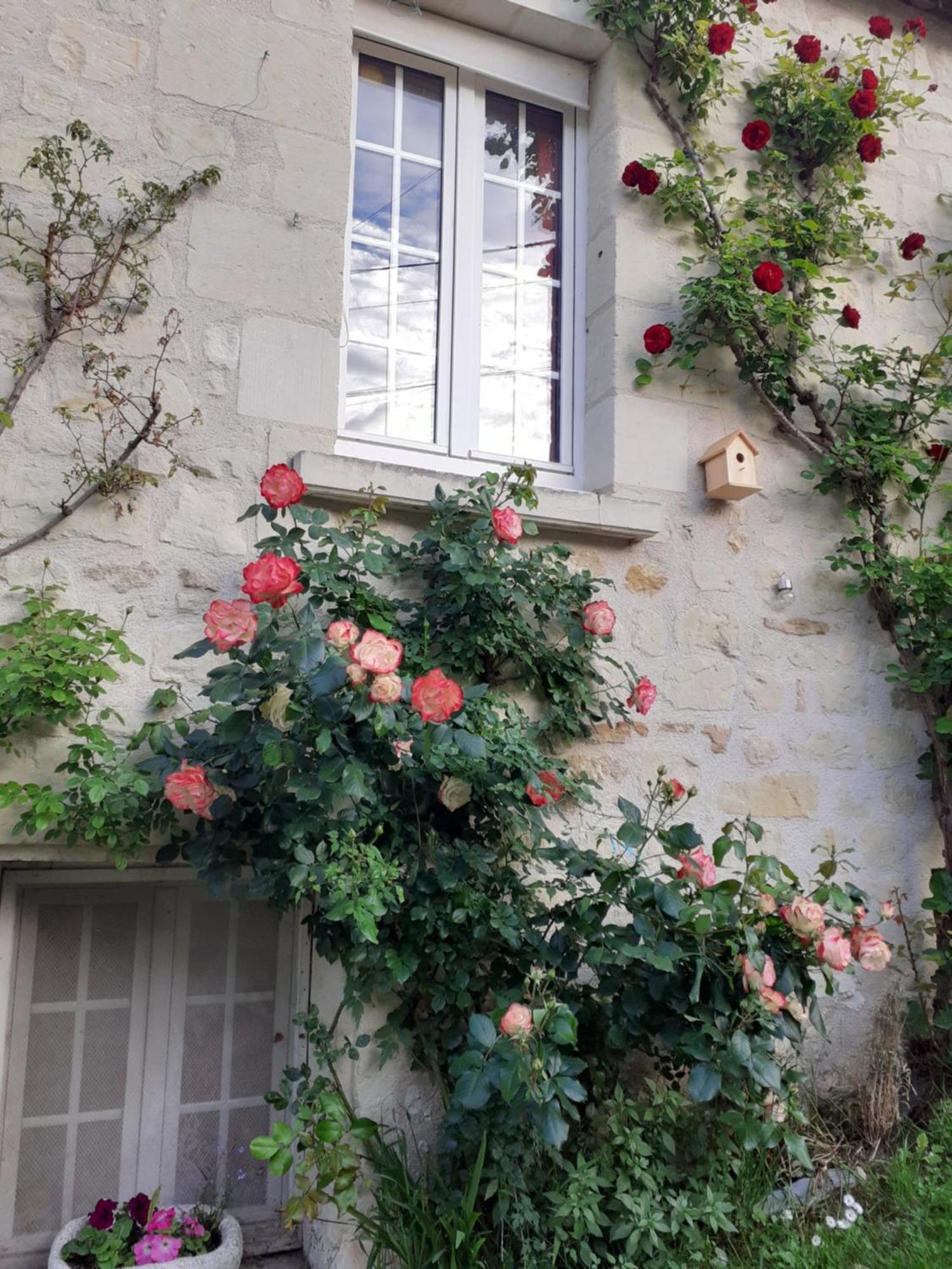 Esprit Troglo Vila Beaumont-en-Véron Exterior foto